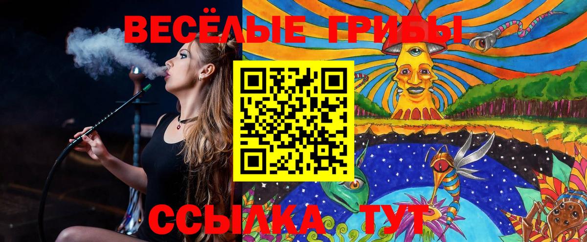 Галлюциногенные грибы Psilocybe  Вход с VPN  Рубцовск 